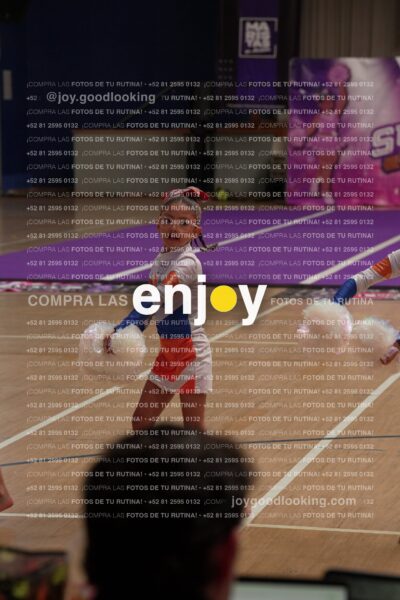 Joy01 Joy05228