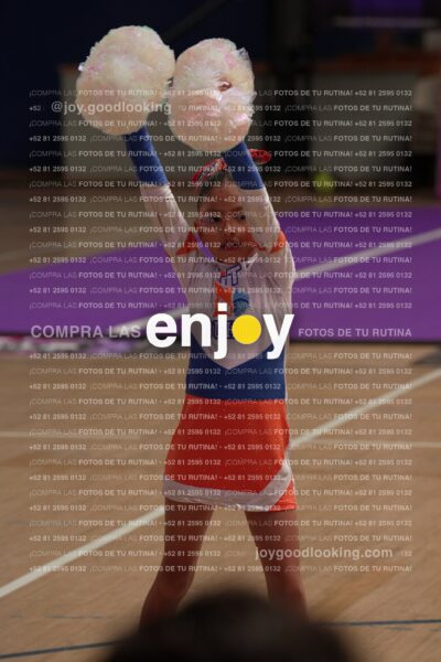 Joy01 Joy05229