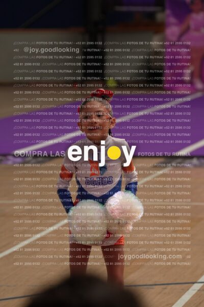 Joy01 Joy05230