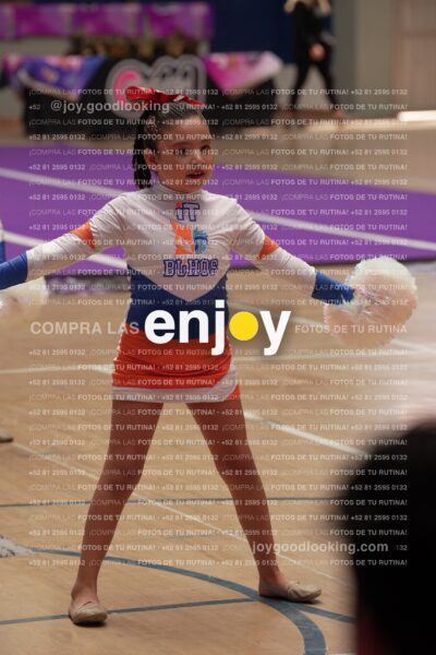 Joy01 Joy05244