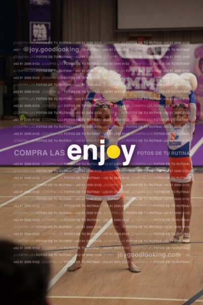Joy01 Joy05245