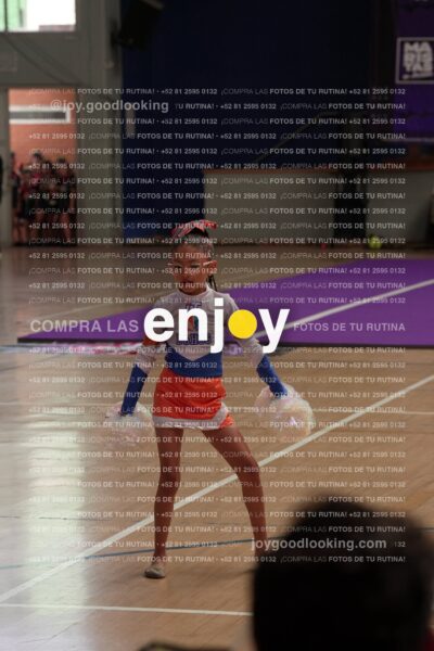 Joy01 Joy05247