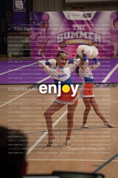 Joy01 Joy05248