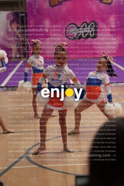 Joy01 Joy05250