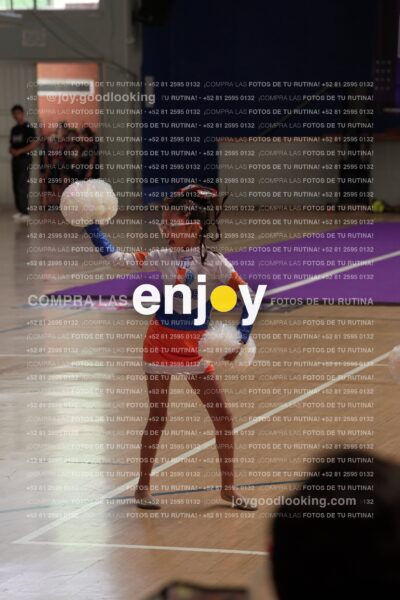 Joy01 Joy05253