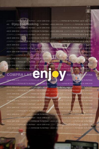 Joy01 Joy05256