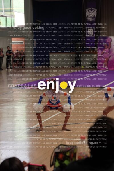 Joy01 Joy05258