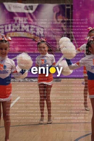 Joy01 Joy05260