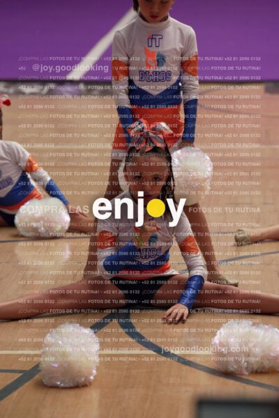 Joy01 Joy05264