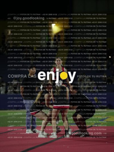 Joy02015