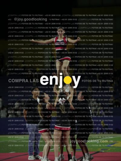 Joy02019
