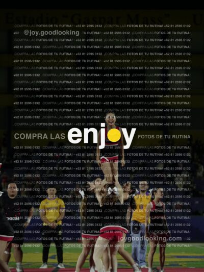 Joy02043