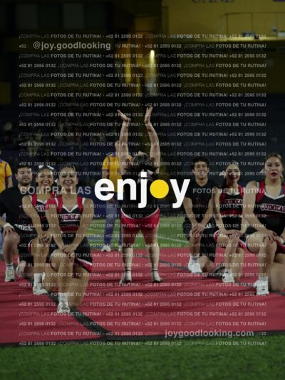 Joy02074