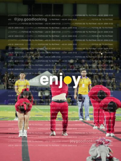Joy02164