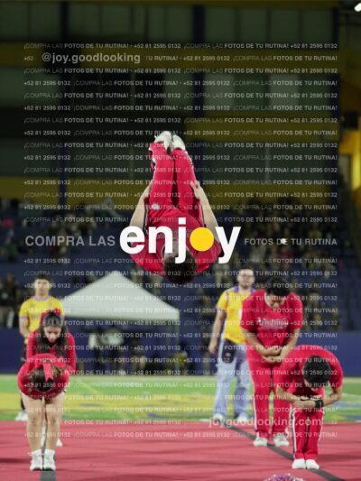 Joy02165