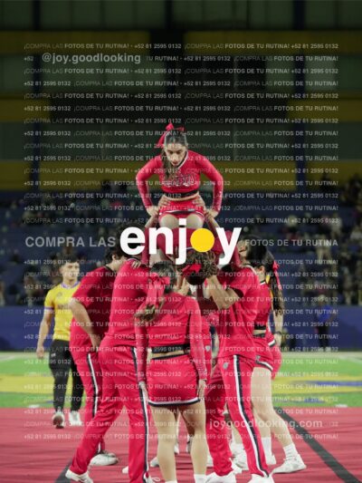 Joy02260