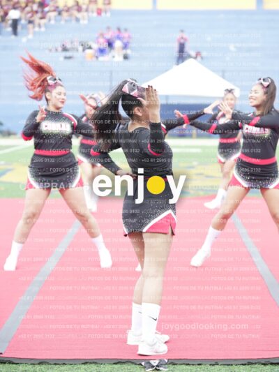 Joy02433