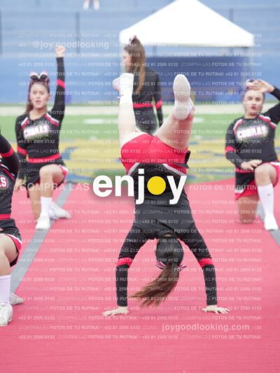 Joy02464