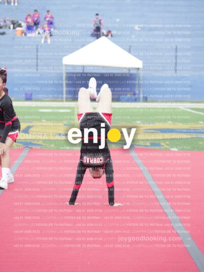 Joy02469