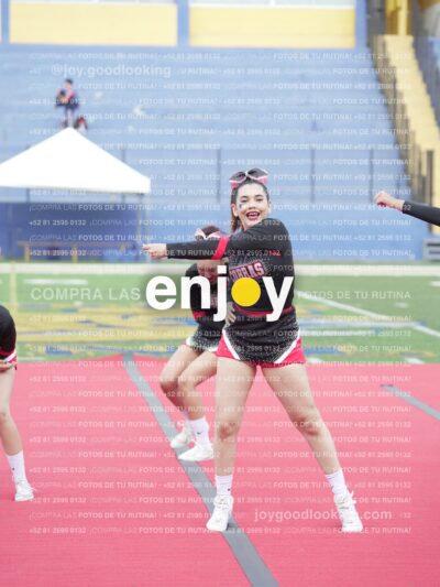 Joy02473