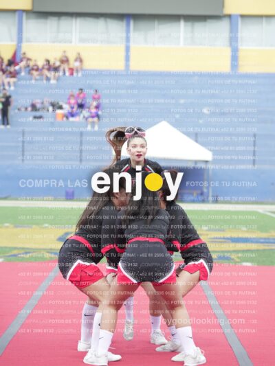Joy02491