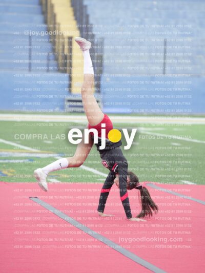 Joy02500