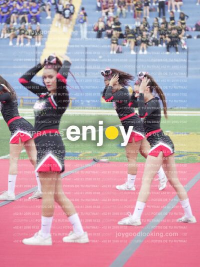 Joy02521