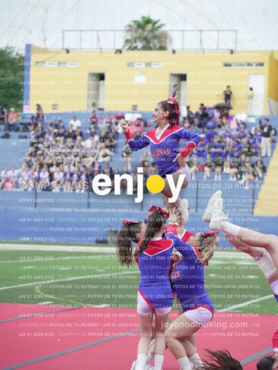 Joy02682