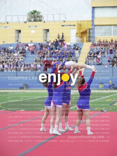 Joy02695
