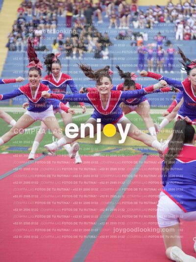 Joy02740