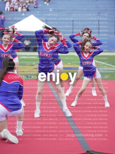 Joy02743