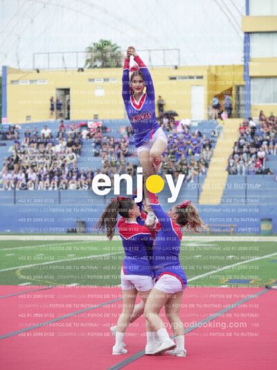 Joy02764