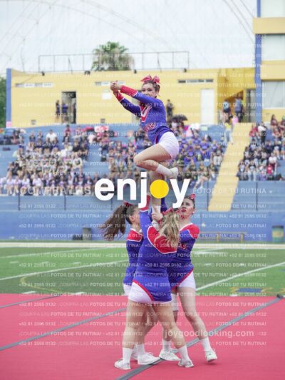 Joy02765