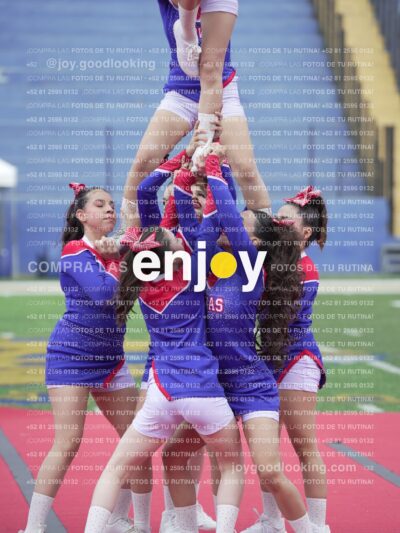 Joy02788