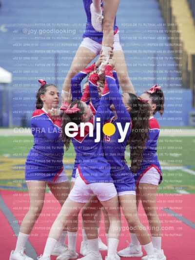 Joy02789