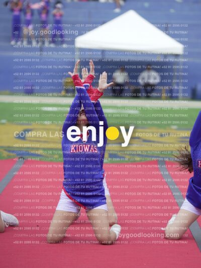 Joy02829