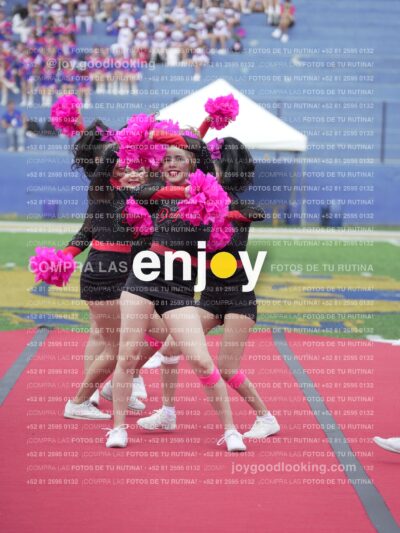 Joy02877