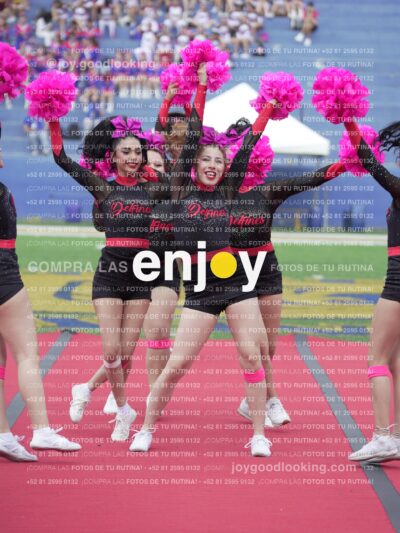 Joy02878