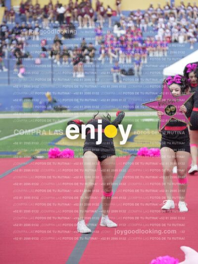 Joy02891