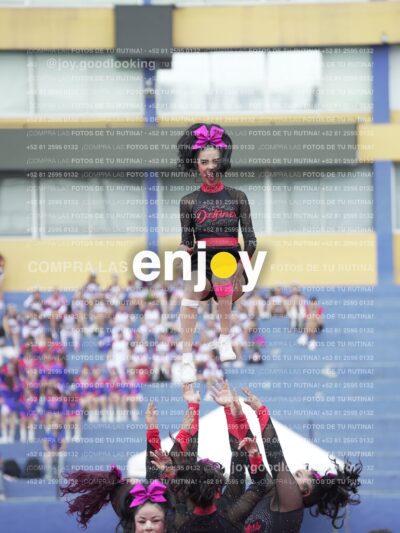 Joy02893