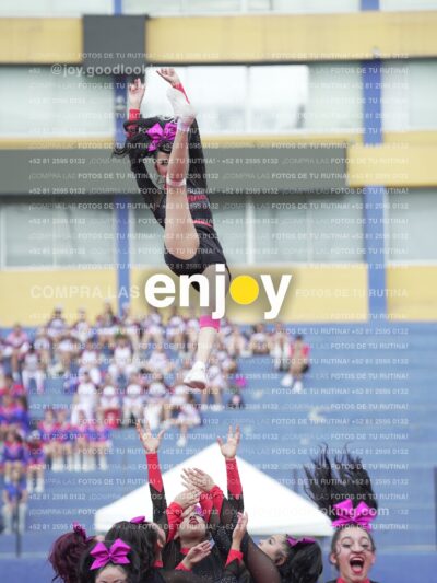 Joy02895