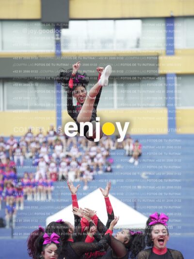 Joy02896