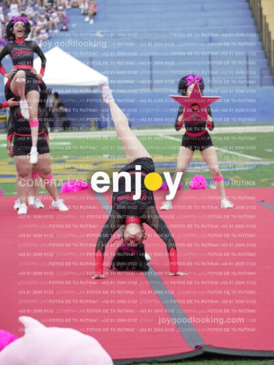 Joy02900