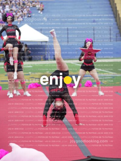 Joy02901