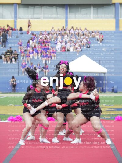 Joy02923