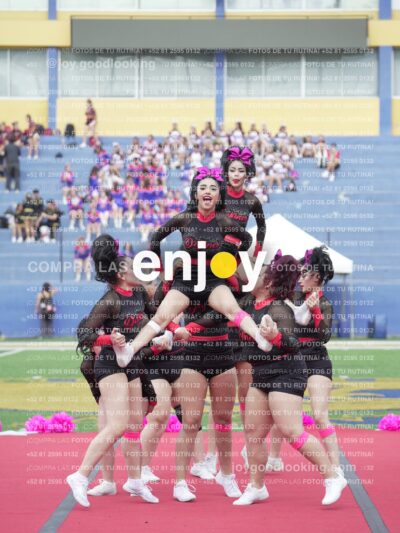 Joy02924