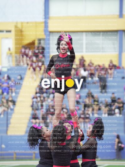 Joy02933