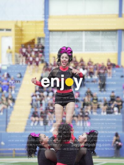 Joy02936