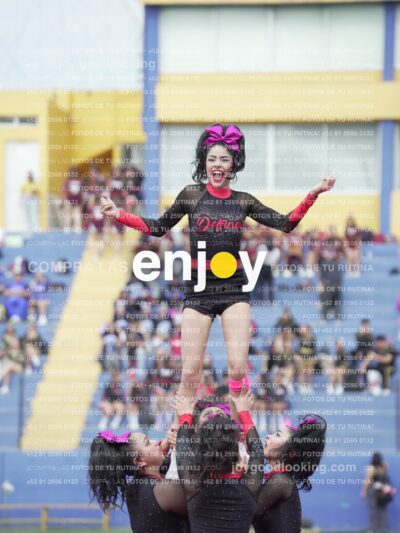 Joy02937