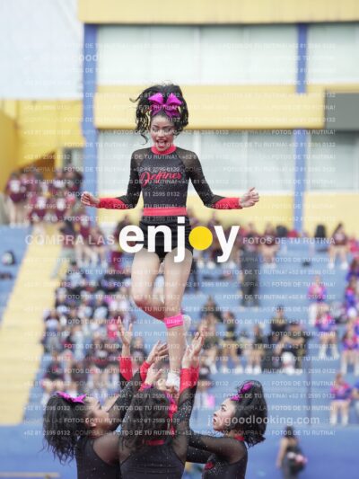Joy02940